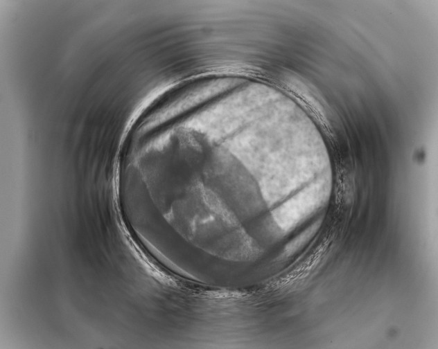 X0000098190804200805081046