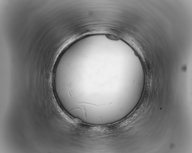 X0000098190805200805081046