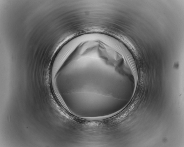 X0000098190806200805081046