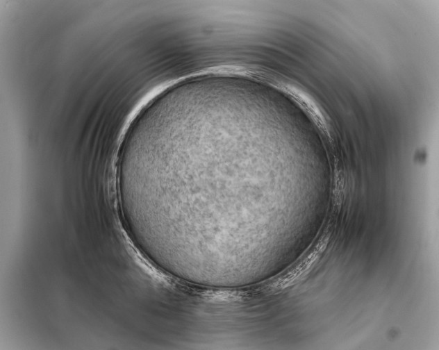 X0000098190808200805081046