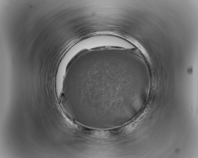 X0000098190809200805081046