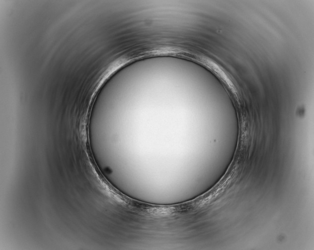 X0000098190810200805081046
