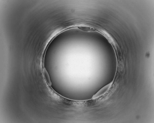 X0000098190813200805081046