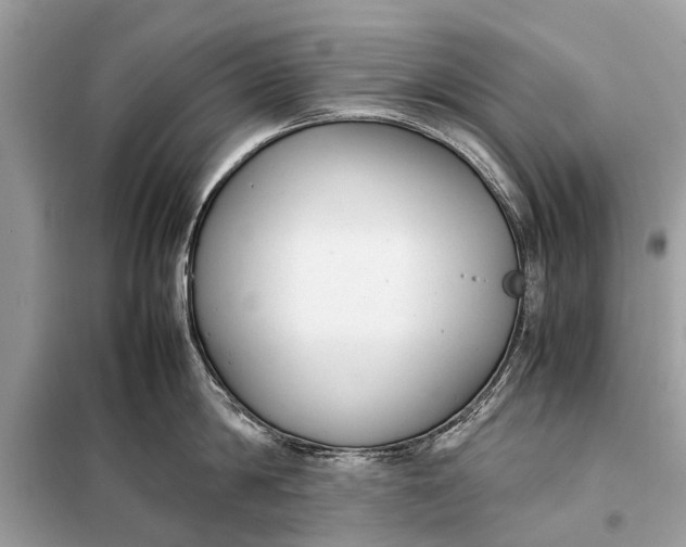 X0000098190814200805081046
