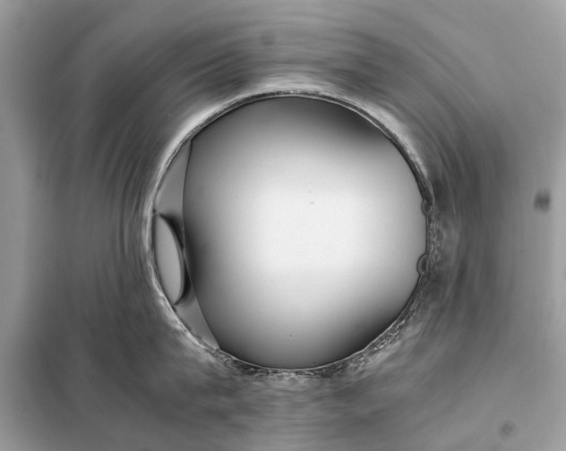 X0000098190815200805081046