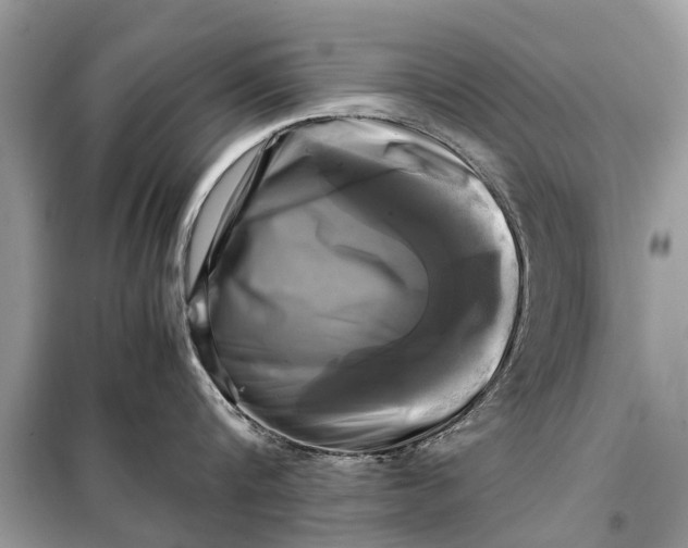 X0000098190816200805081046