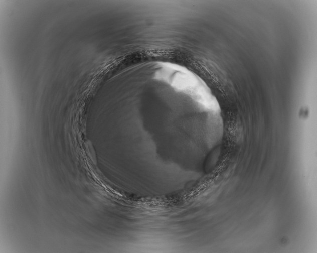 X0000098190817200805081045