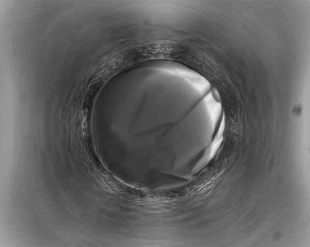 X0000098190818200805081045