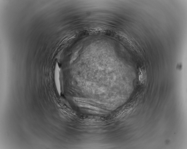 X0000098190819200805081045