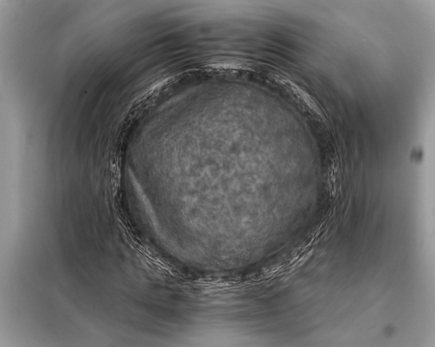 X0000098190821200805081045