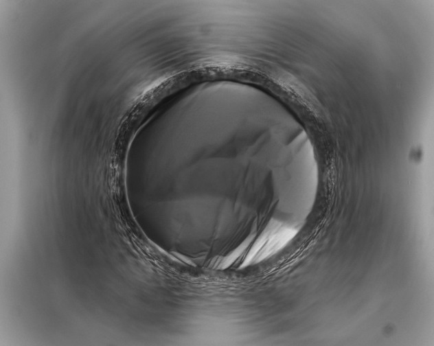 X0000098190822200805081045
