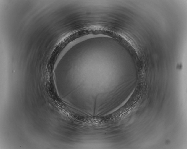 X0000098190823200805081045