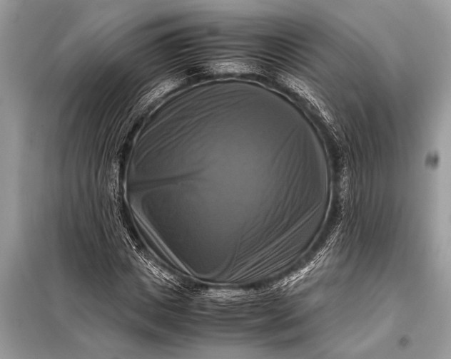 X0000098190825200805081045