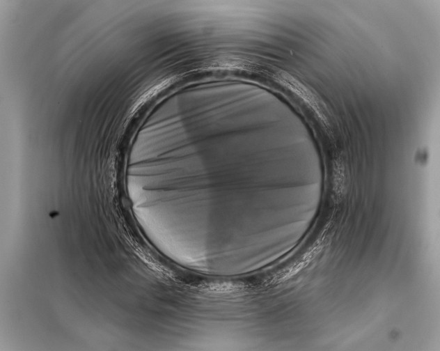X0000098190826200805081045