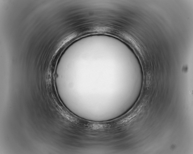 X0000098190827200805081046