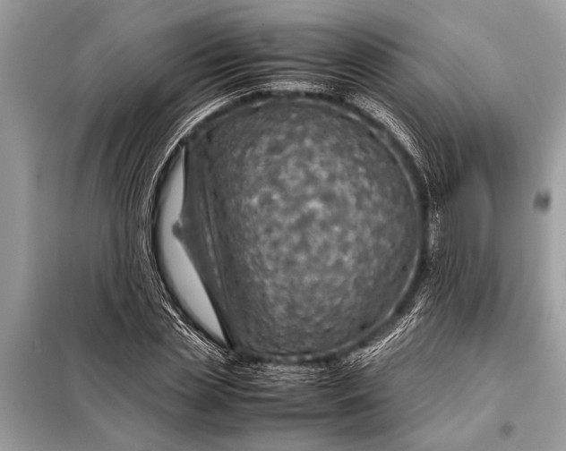X0000098190829200805081046