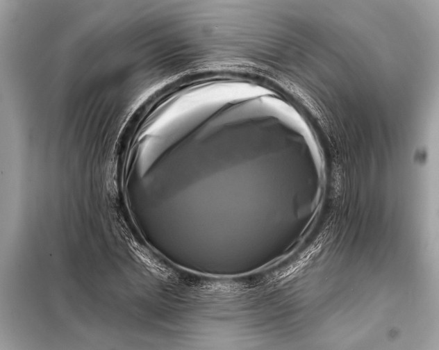 X0000098190830200805081046