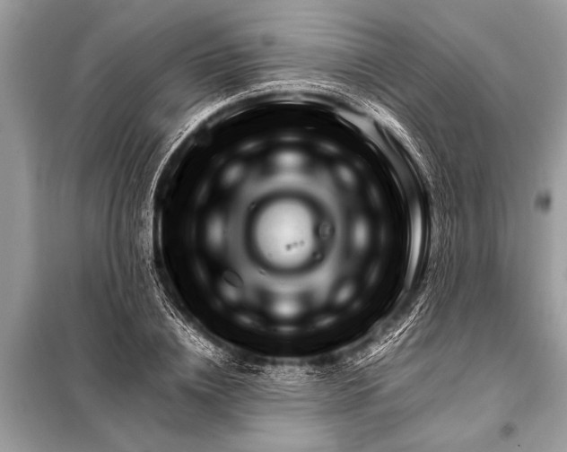 X0000098190836200805081046