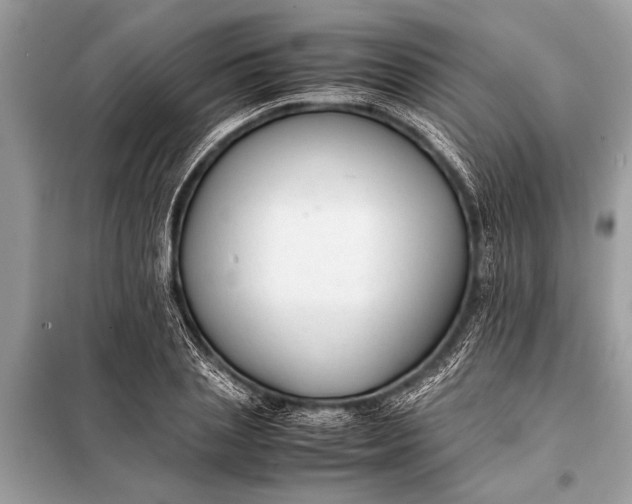X0000098190837200805081046
