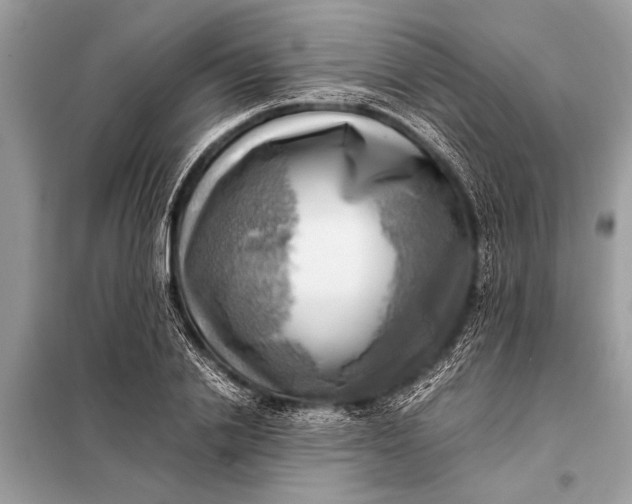 X0000098190838200805081046