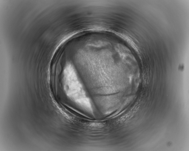 X0000098190839200805081046