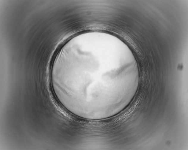 X0000098190840200805081046