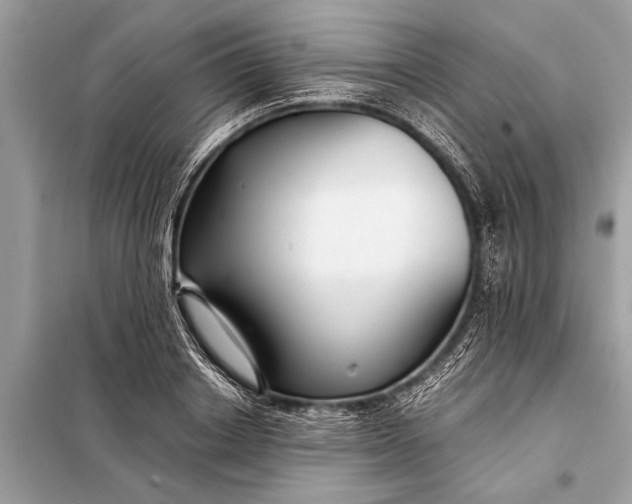 X0000098190842200805081046