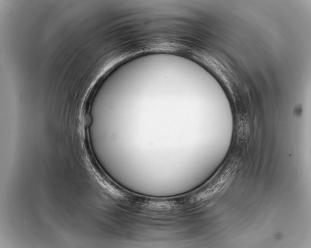 X0000098190843200805081046