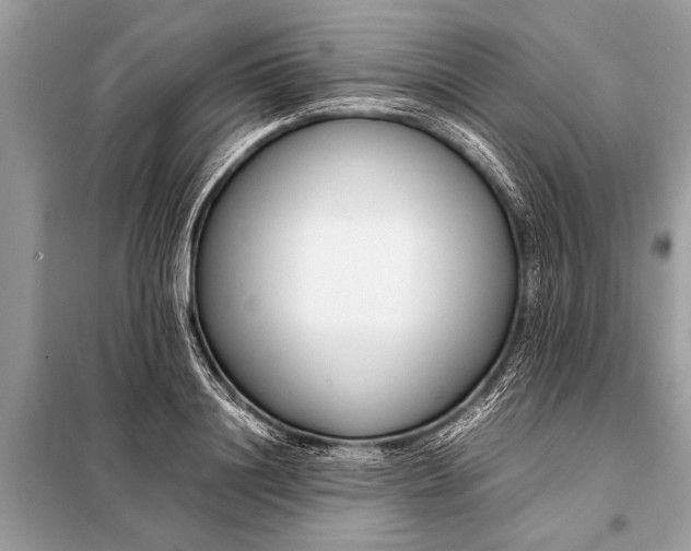 X0000098190844200805081046