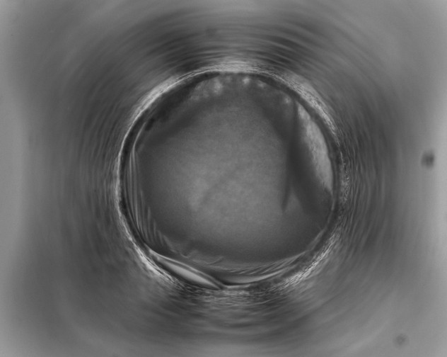X0000098190845200805081046