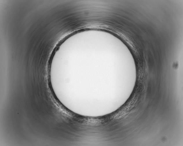 X0000098190848200805081046