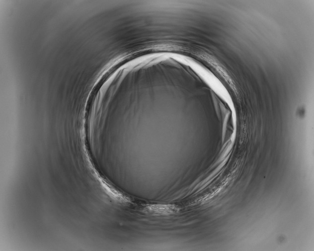 X0000098190853200805081046