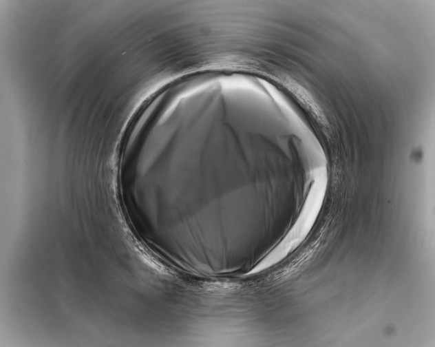 X0000098190854200805081046