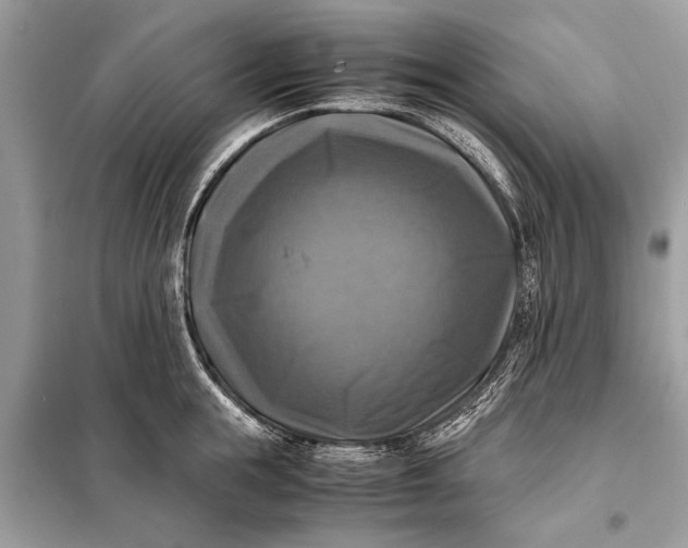 X0000098190855200805081046