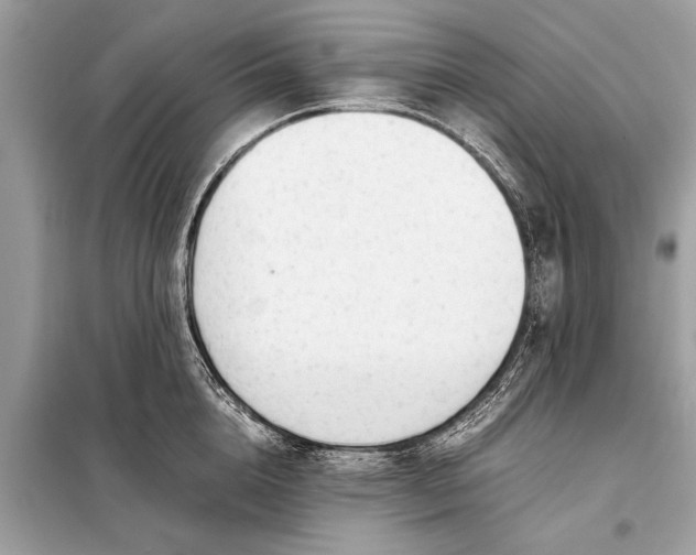 X0000098190856200805081046