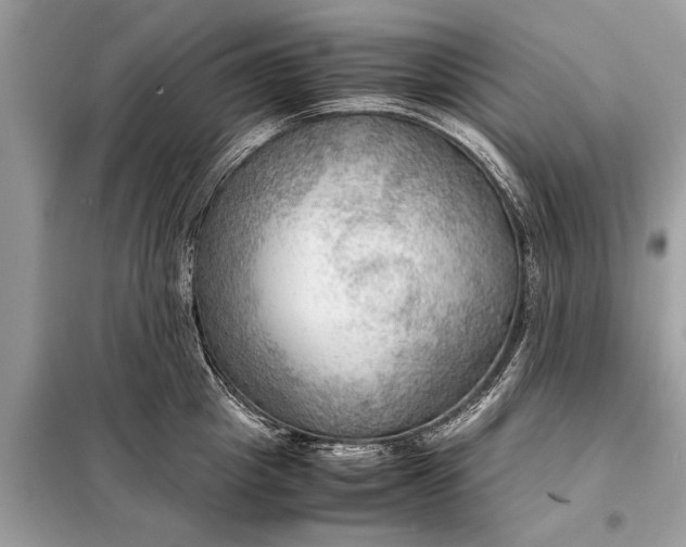 X0000098190857200805081046