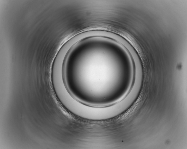 X0000098190858200805081046