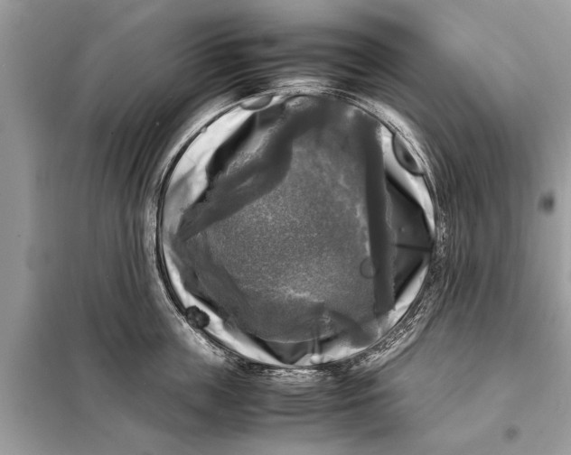 X0000098190859200805081046