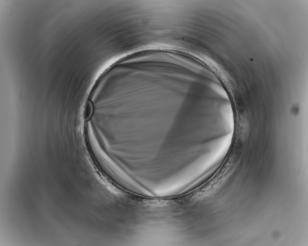 X0000098190862200805081046