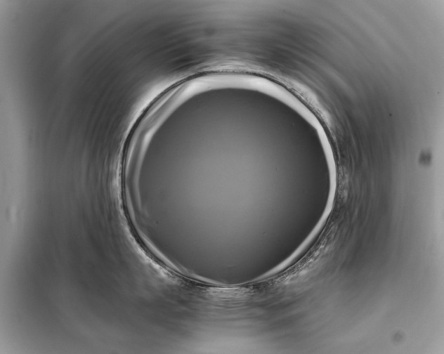 X0000098190863200805081046