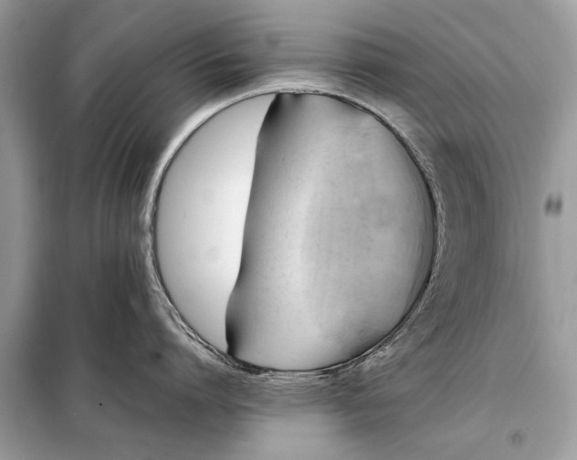 X0000098190864200805081046