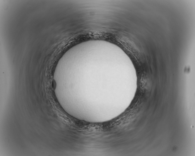 X0000098190865200805081045