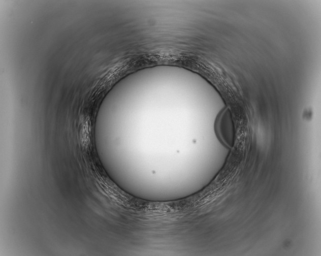 X0000098190866200805081045