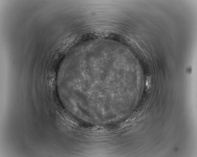 X0000098190867200805081045