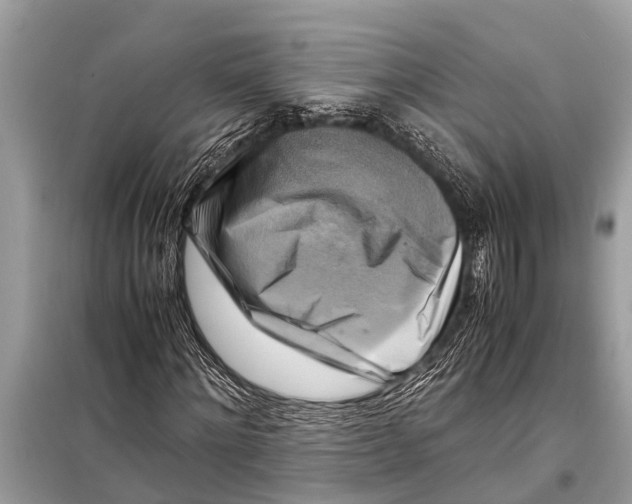 X0000098190868200805081045