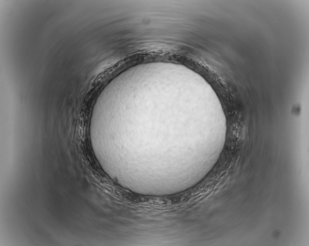 X0000098190869200805081045