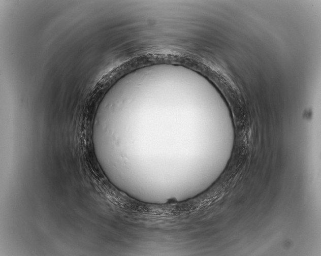 X0000098190870200805081045