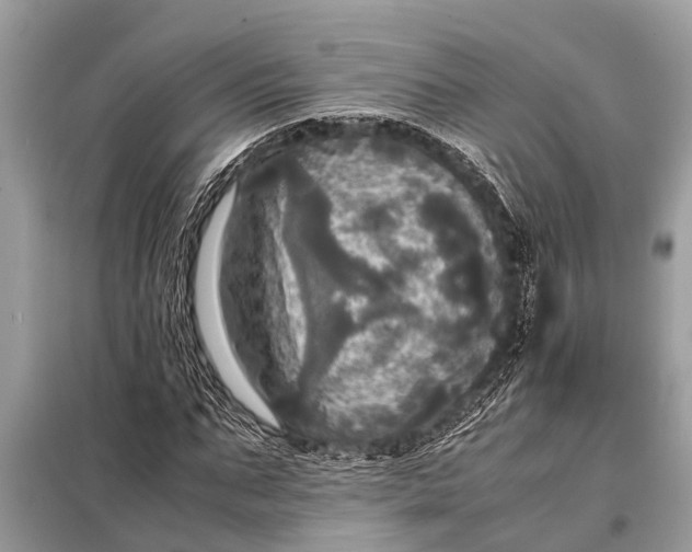 X0000098190871200805081045