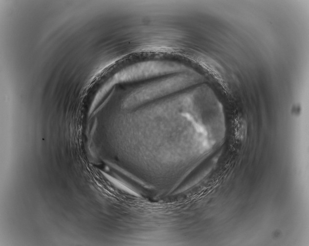 X0000098190872200805081045