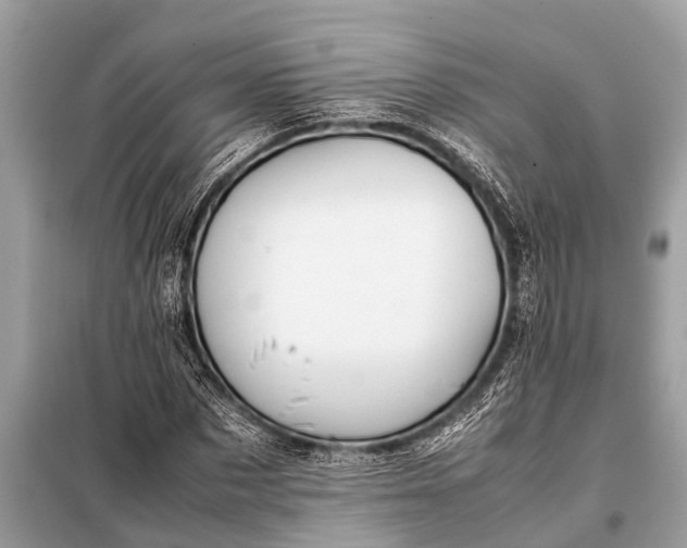 X0000098190873200805081045